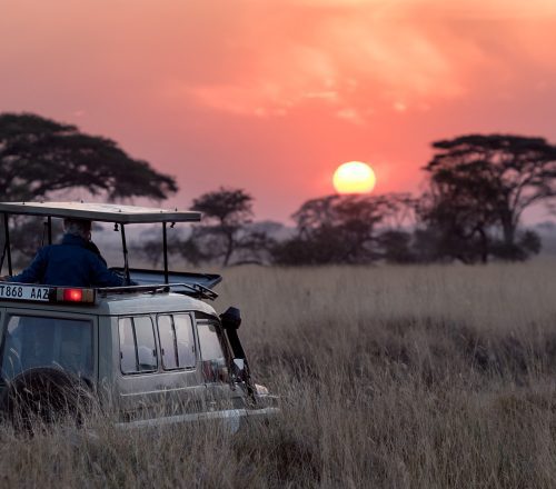 Safari in Africa