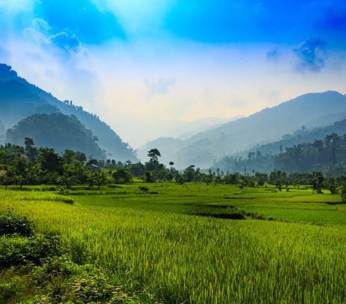 Nepal’s Chitwan National Park